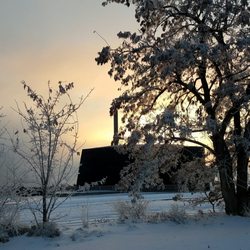 Frosty morning
