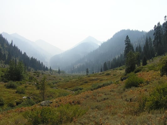 Sequoia & Kings Canyon National Parks by null Sequoia & Kings Canyon National Parks by null