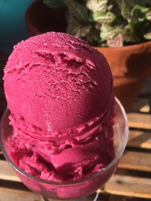 Luv Fats Ice Cream by null Luv Fats Ice Cream by null