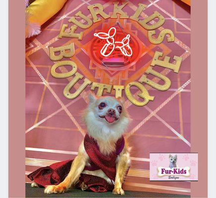 Fur-Kids Boutique by null