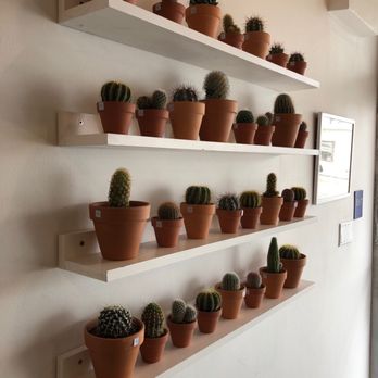 SACHI.LA - Coffee & Tea Near Me - Los Angeles, California SACHI.LA - Coffee & Tea Near Me - Los Angeles, California