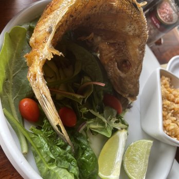 Xantolo - Fried snapper - Mexican Near Me - Isla Mujeres, ROO Xantolo - Fried snapper - Mexican Near Me - Isla Mujeres, ROO