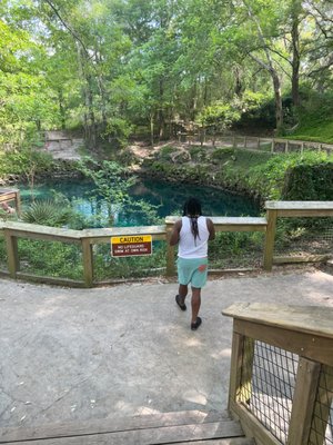 Madison Blue Spring State Park by null