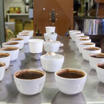 Cleanskin Coffee Co - Cupping table - Singoe Origins - Coffee & Tea Near Me - Brendale, QLD