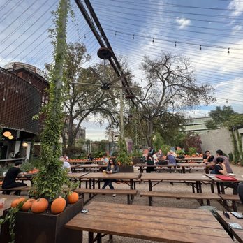 Cosmic Saltillo - Patio - Coffee & Tea Near Me - Austin, Texas