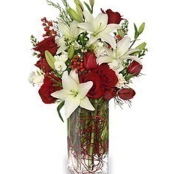 Mille Fiore Flowers - DELUXE ALL IS MERRY & BRIGHTA Christmas arrangement from MILLE FIORE FLOWERS is one of the best last-minute gifts around and it adds a fresh - Florists Near Me - Ottawa, Ontario Mille Fiore Flowers - DELUXE ALL IS MERRY & BRIGHTA Christmas arrangement from MILLE FIORE FLOWERS is one of the best last-minute gifts around and it adds a fresh - Florists Near Me - Ottawa, Ontario