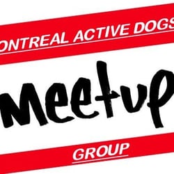 Montreal Active Dogs
