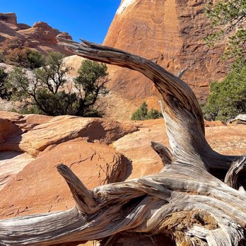 Arches National Park - Parks Near Me Arches National Park - Parks Near Me