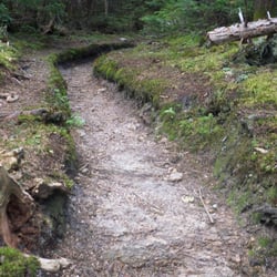 Mount Osceola - Some easy footing between main and East (a teaser!)