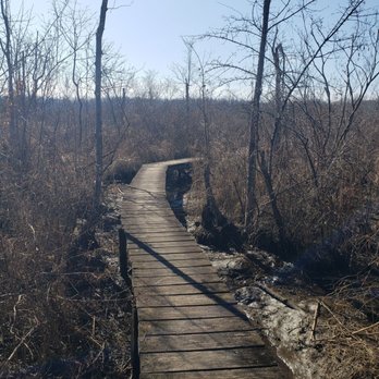Jug Bay Wetlands Sanctuary - Parks Near Me - Lothian, Maryland