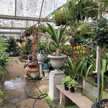 Big Greenhouse - Nurseries & Gardening Near Me - Greensboro, North Carolina Big Greenhouse - Nurseries & Gardening Near Me - Greensboro, North Carolina