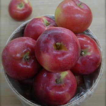 Ecollegey - Organic Stores Near Me - Montreal, Quebec Ecollegey - Organic Stores Near Me - Montreal, Quebec