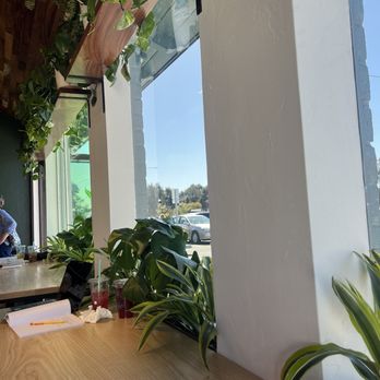 Scented Leaf Tea House - Beautiful plant accents! - Coffee & Tea Near Me - Tucson, Arizona