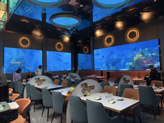 Juicy Dumplings by null