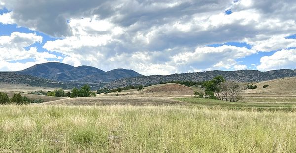 Chatfield State Park Campground by null