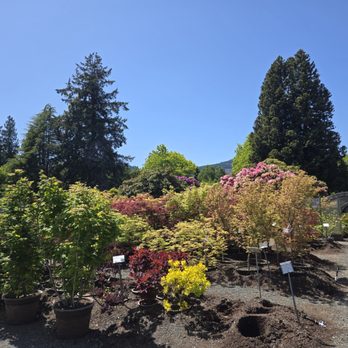 Whitney Gardens and Nursery - Nurseries & Gardening Near Me - Brinnon, Washington Whitney Gardens and Nursery - Nurseries & Gardening Near Me - Brinnon, Washington