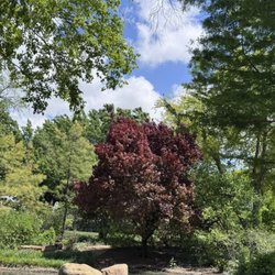 Meinders Garden