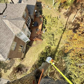 Taylor's Tree & Landscaping - Tree Services Near Me - Cincinnati, Ohio Taylor's Tree & Landscaping - Tree Services Near Me - Cincinnati, Ohio
