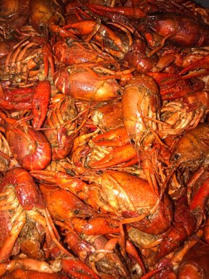 Crawfish Time by null
