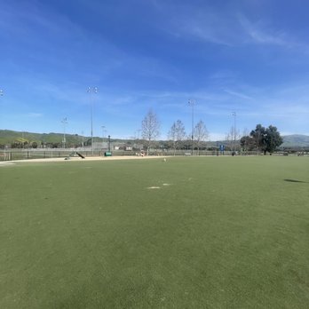 Central Park Dog Park - Dog Parks Near Me - Fremont, California Central Park Dog Park - Dog Parks Near Me - Fremont, California