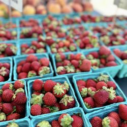 Bryn Mawr Farmers Market - PETITE STRAWBERRIES