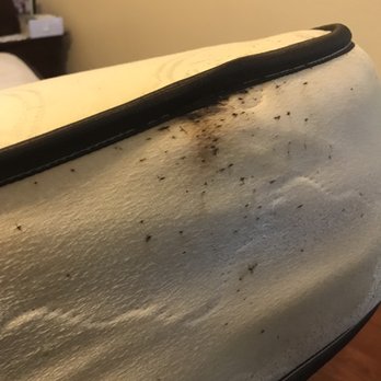 Prestige Pest Management LLC - Bed bug droppings on a mattress. - Pest Control Near Me - Jamaica, New York Prestige Pest Management LLC - Bed bug droppings on a mattress. - Pest Control Near Me - Jamaica, New York