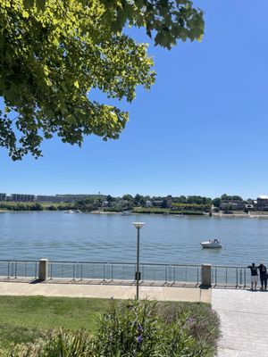 Smale Riverfront Park by null