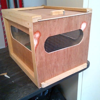 Airborne Animals - custom crate for birds or reptiles - Veterinarians Near Me - Boonville, New Jersey Airborne Animals - custom crate for birds or reptiles - Veterinarians Near Me - Boonville, New Jersey