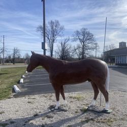 Herman the Horse