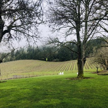David Hill Winery - The view - Wineries Near Me - Forest Grove, Oregon