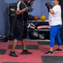 The BOX Boxing Fitness  - 1 on 1 focus mitts