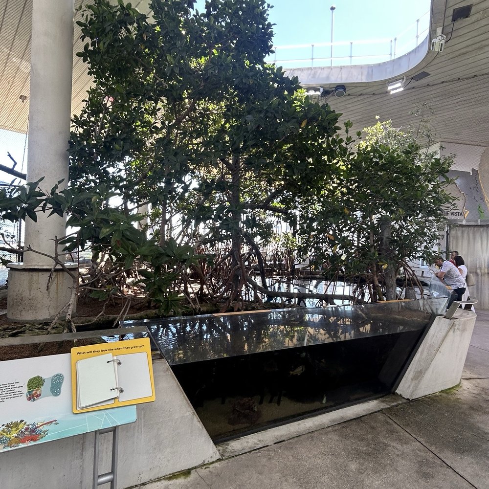 Frost Art Museum - Art Museums Near Me - Miami, Florida