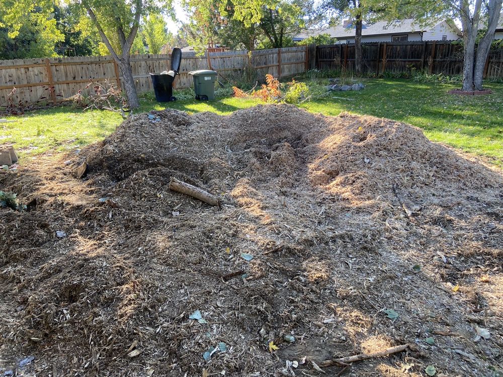 AAA Trees Done Right - tree service in Billings, MT