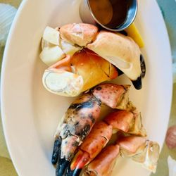 Large stone crab