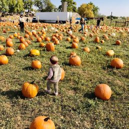 Exploring at the Pumpkin Patch!! Exploring at the Pumpkin Patch!!