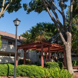 Cowell Terrace Apartments - Wooden Pergola and Courtyard