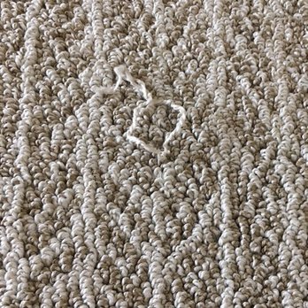 EF Marburger Fine Flooring - The first pull. - Carpet Installation Near Me - Fishers, Indiana