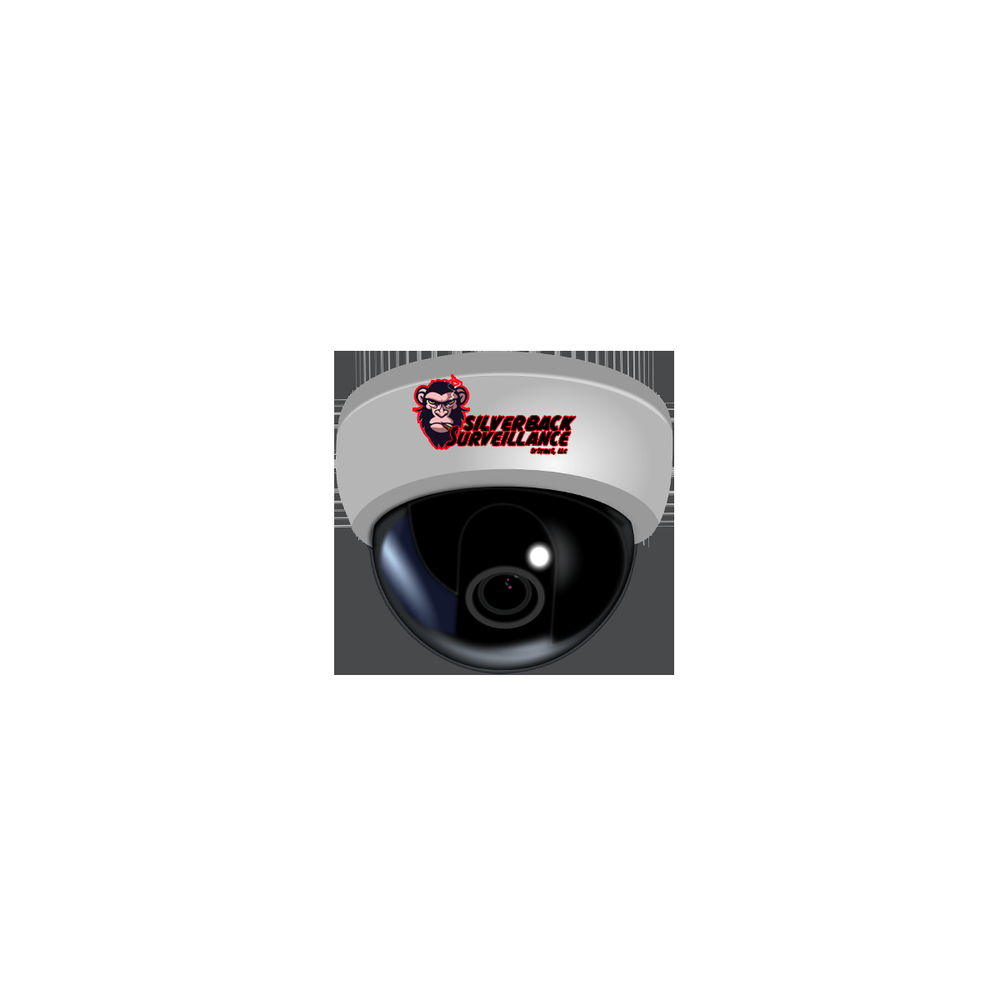 SILVERBACK SURVEILLANCE SYSTEMS Marietta, Security Systems