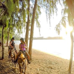 The Stables - Beautiful Kawela Bay Sunset Ride