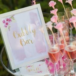 Cordially - Bubble Bar sign and custom made napkins to match the entire baby shower theme.