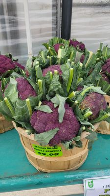 19th Avenue Farmer's Market by null