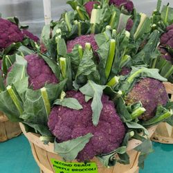 19th Avenue Farmers Market