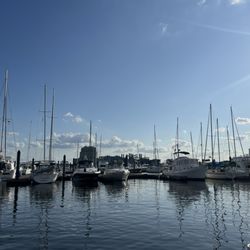 Pusser's Landing