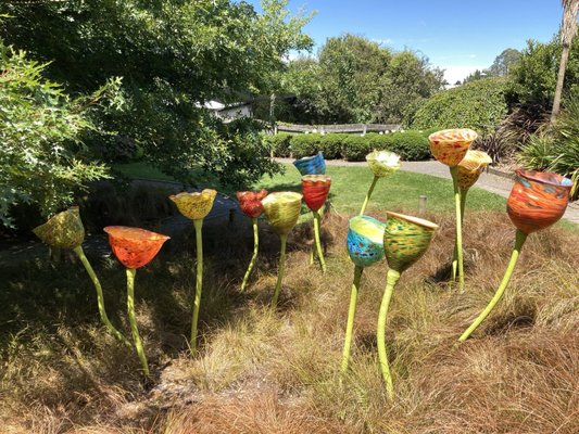 Lava Glass - Glassblowing Studio, Sculpture Garden, Art Gallery, Café by null