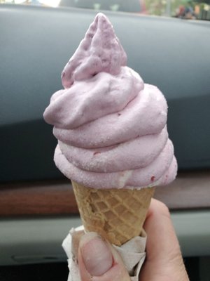 Nico's Ice Cream by null