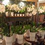 Photo of Blomsterpassagen City