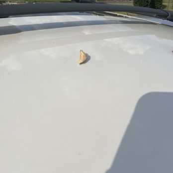 JL Tree Service - Peace of wood fro the chipper back of my car - Tree Services Near Me - Fairfax, Virginia