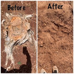 Karli’s Yard Services - Papertree stump removal