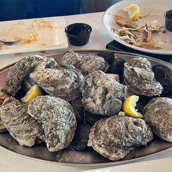 Oyster Shucker Craft & Draft - Oysters - Seafood Near Me - St Pete Beach, Florida Oyster Shucker Craft & Draft - Oysters - Seafood Near Me - St Pete Beach, Florida