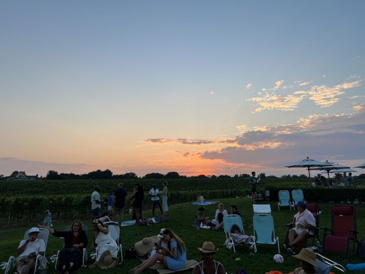 The Wine Stand at Wölffer Estate by null